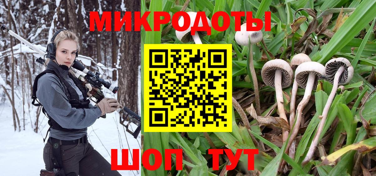Кисловодск  Псилоцибиновые грибы MAGIC MUSHROOMS  Псилоцибиновые грибы мицелий  Вход с VPN 