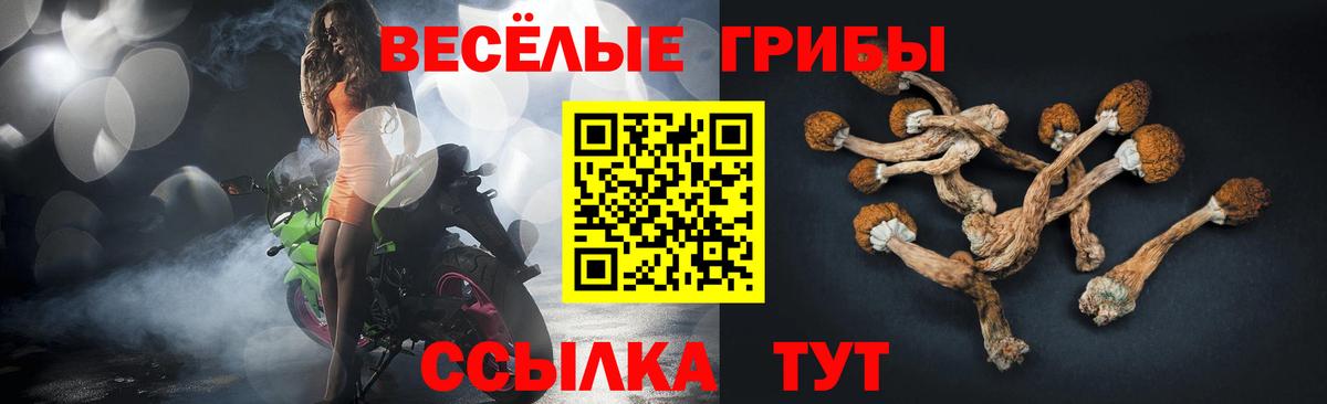 Галлюциногенные грибы мухоморы Кисловодск